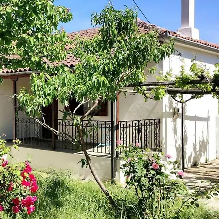 Feli'S Country House Argalasti Extérieur photo