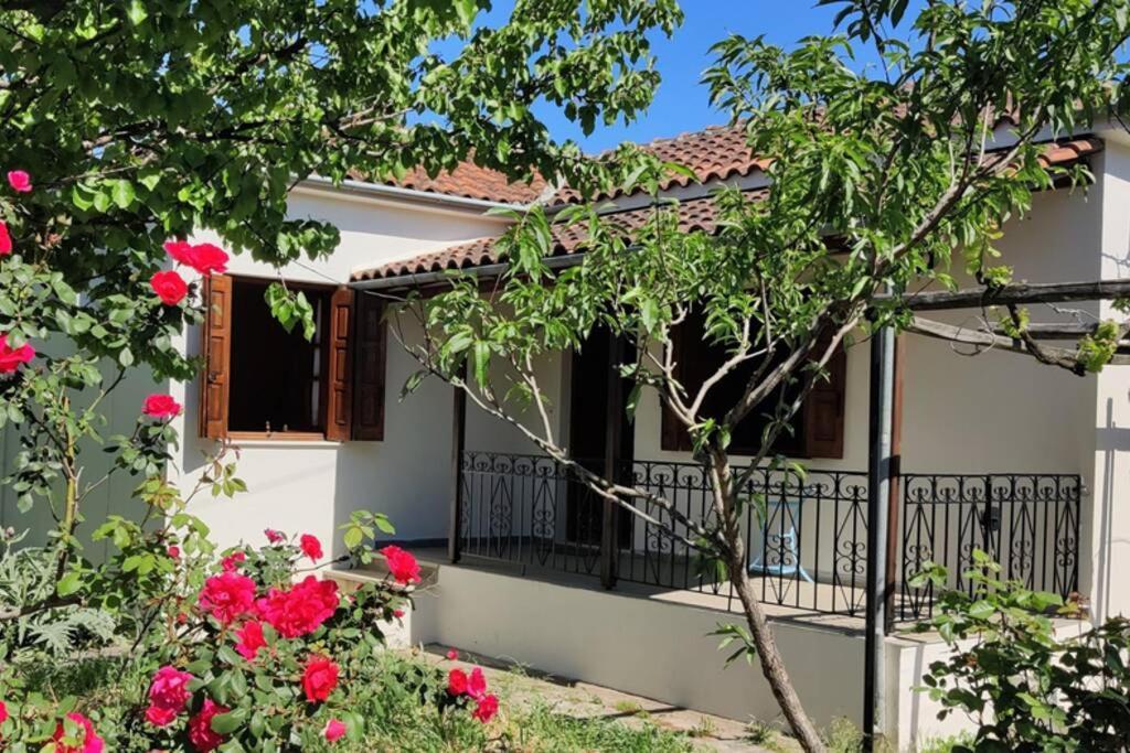 Feli's Ferienhaus *